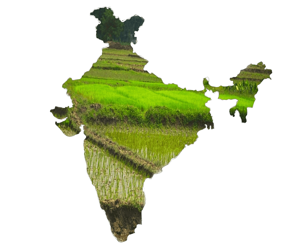 Official India Agricultural Origin